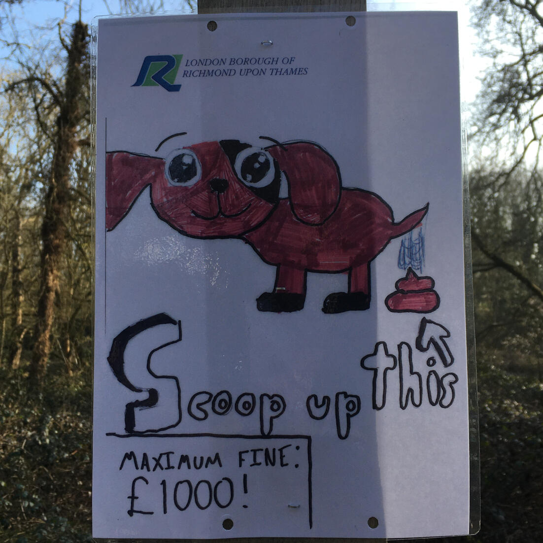 a laminated paper sign from Richmond council with a child's drawing of a dog and a notice about scooping dog waste, fine £1000