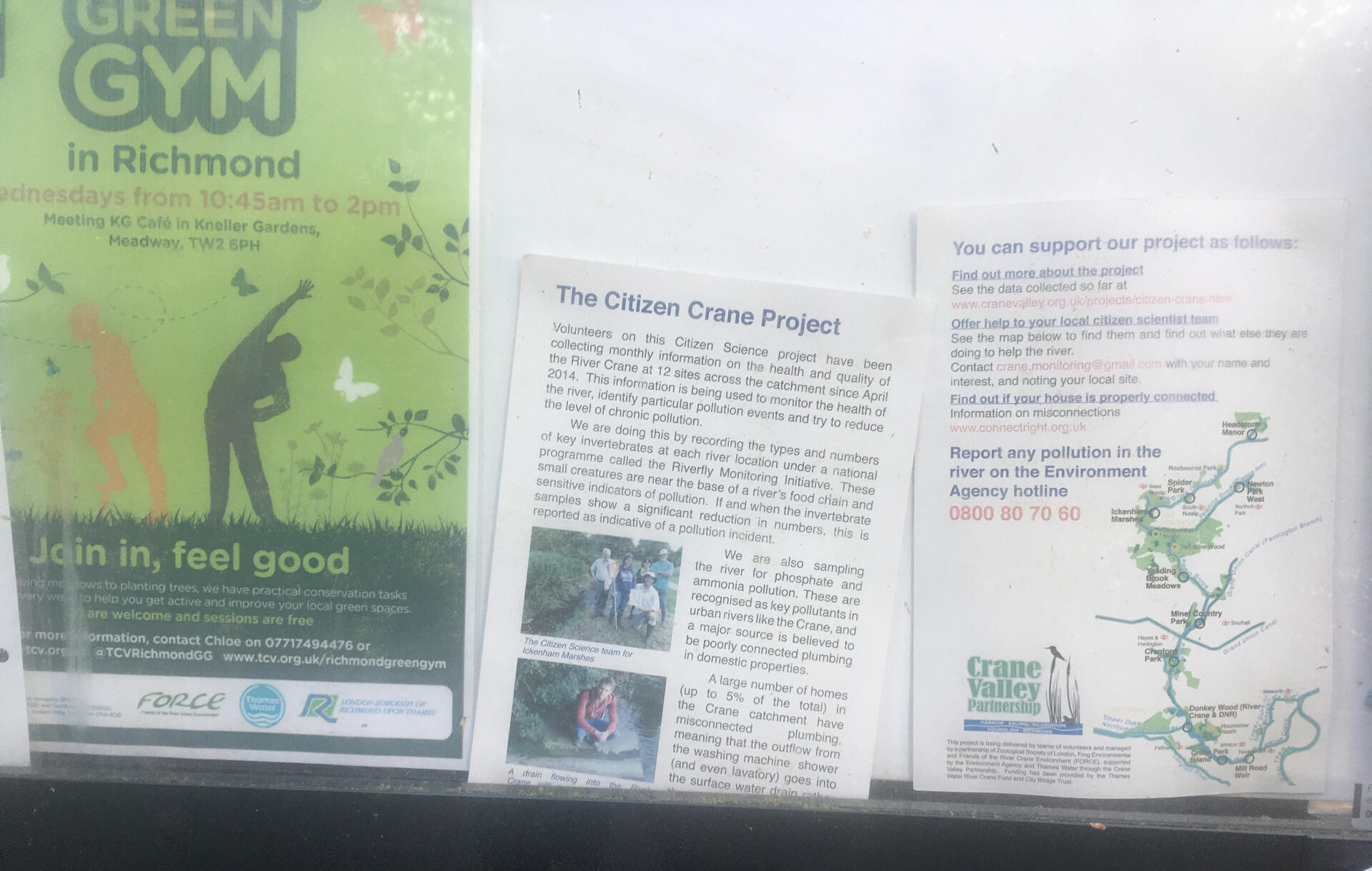 fragments of notices on noticeboard, advertising FORCE calendar and Richmond Green Gym