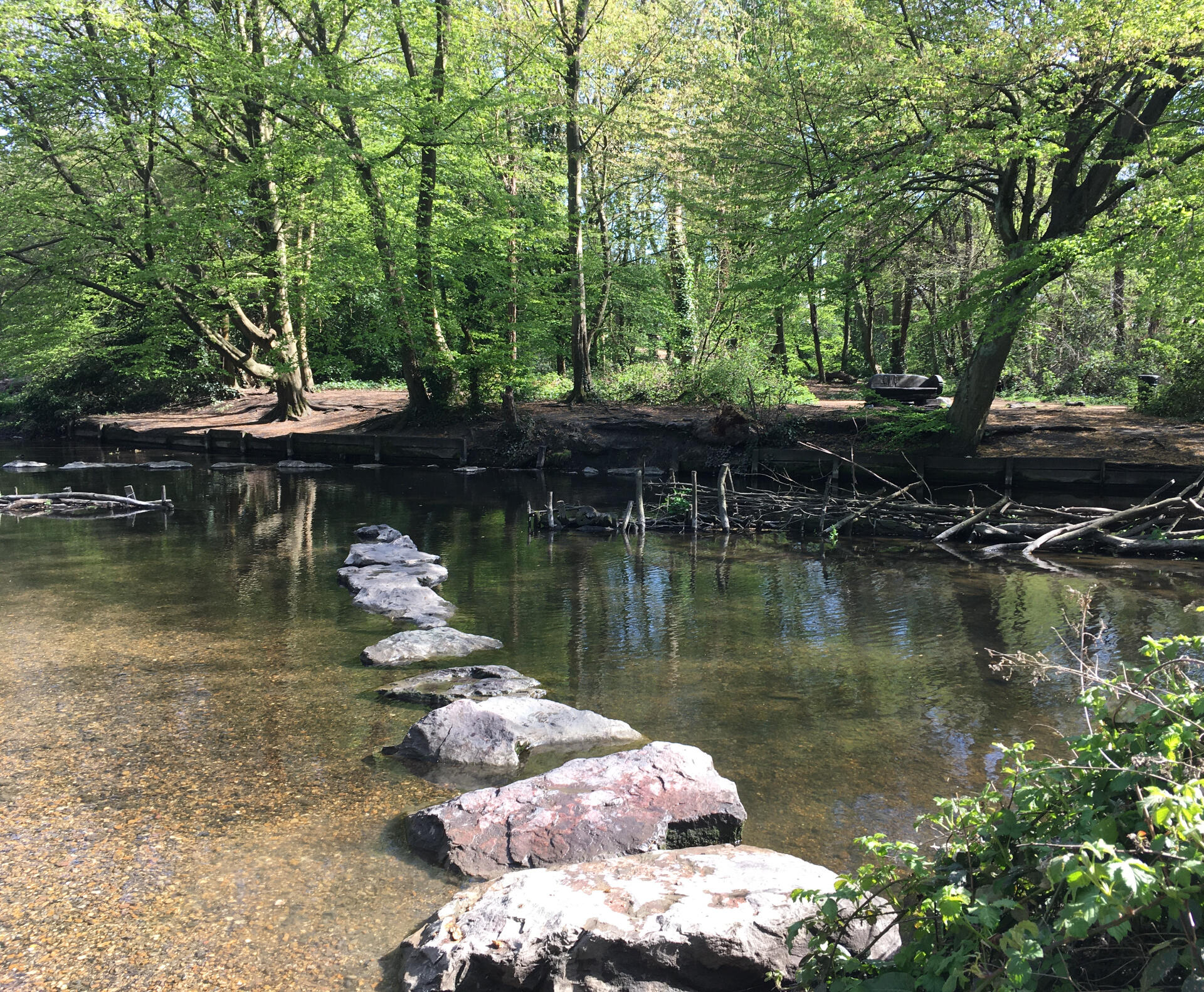 stepping stones lead out into the river