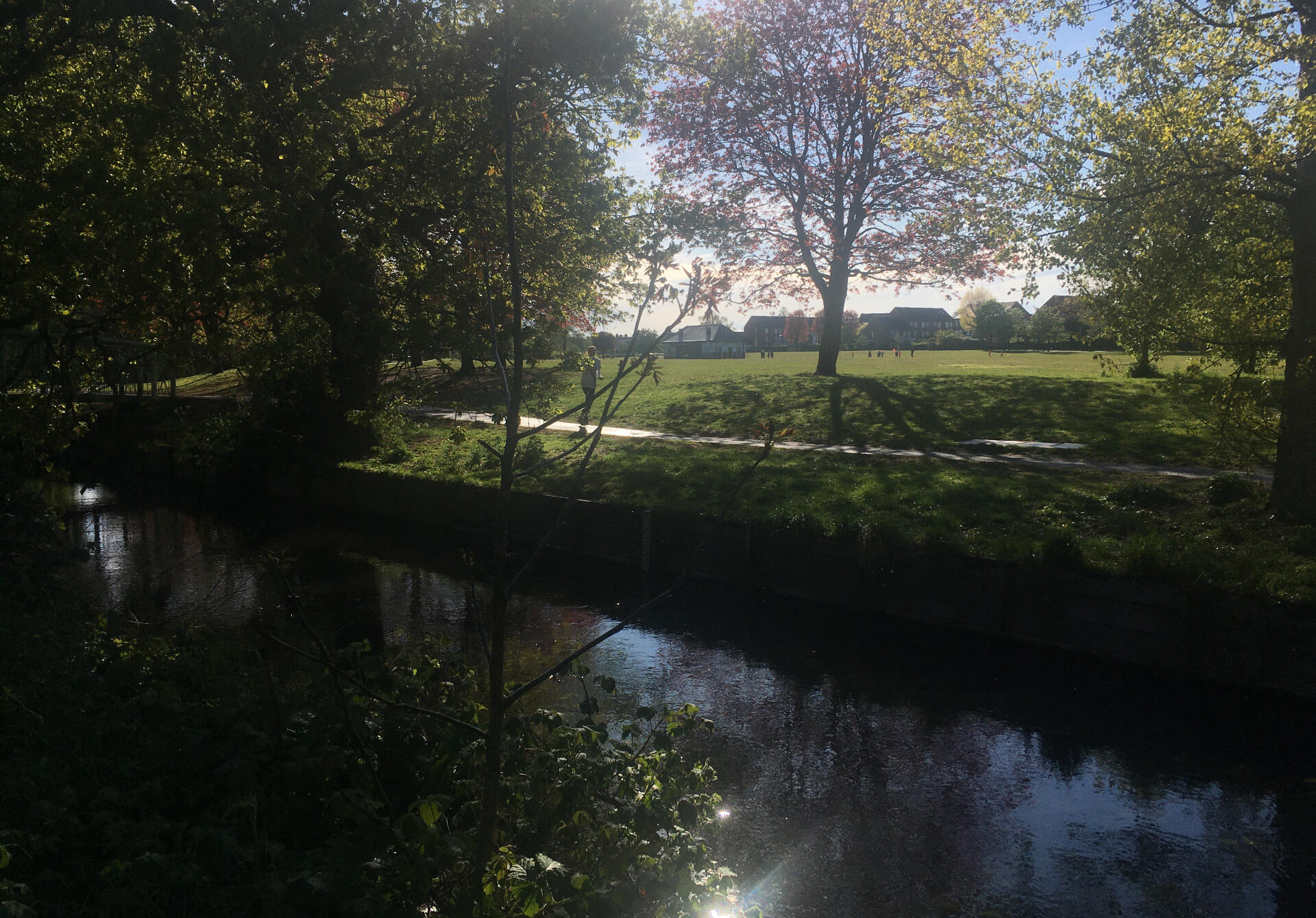 View across Duke of Northumberland's River into Kneller Gardens, late afternoon in spring (sunny)