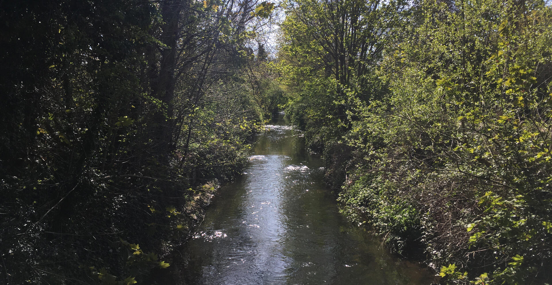 looking upstream from a bridge across the crane, a sunny day